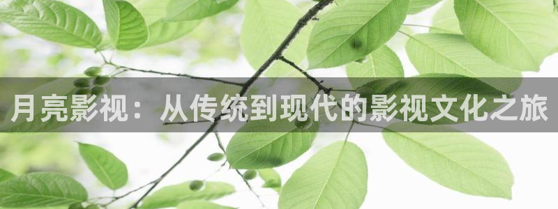 免费看秋霞：月亮影视：从传统到现代的影视文化之旅