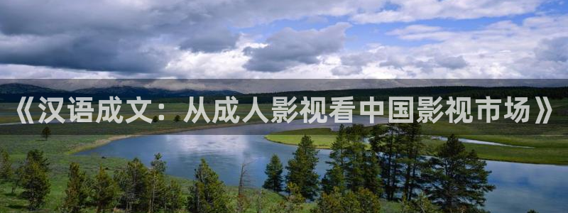 韩国理论片秋霞网：《汉语成文：从成人影视看中国影视市场》