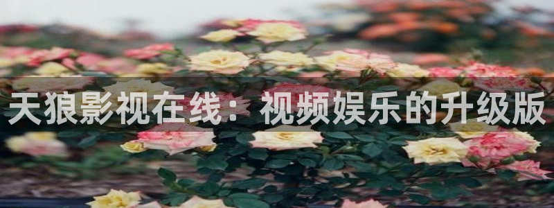 秋霞o：天狼影视在线：视频娱乐的升级版