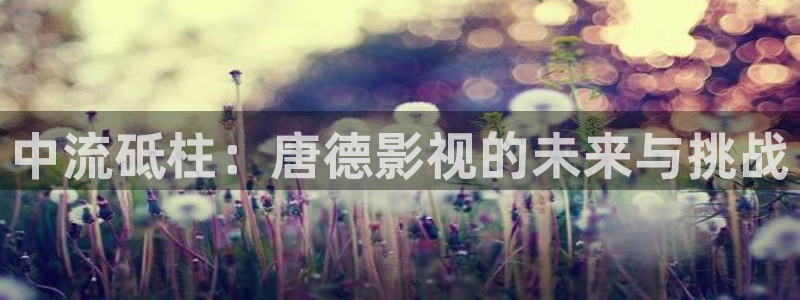 免费秋霞网黄色：中流砥柱：唐德影视的未来与挑战