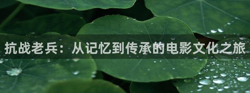 秋霞电影18：抗战老兵：从记忆到传承的电影文化之旅