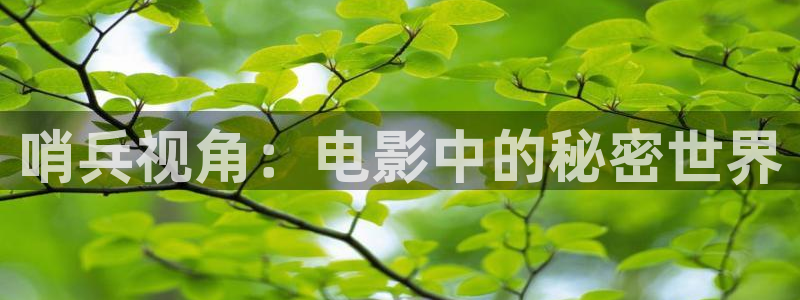 秋霞网神马影院：哨兵视角：电影中的秘密世界