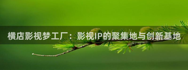 秋霞电影网日本：横店影视梦工厂：影视IP的聚集地与创新基地
