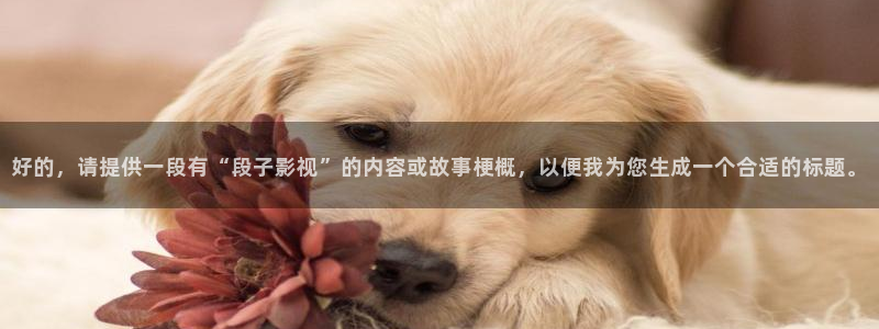 秋霞在线免费看：好的，请提供一段有“段子影视”的内容或故事梗概，以便我为您生成一个合适的标题。