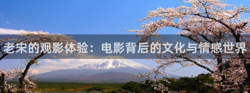 秋霞撸片：老宋的观影体验：电影背后的文化与情感世界