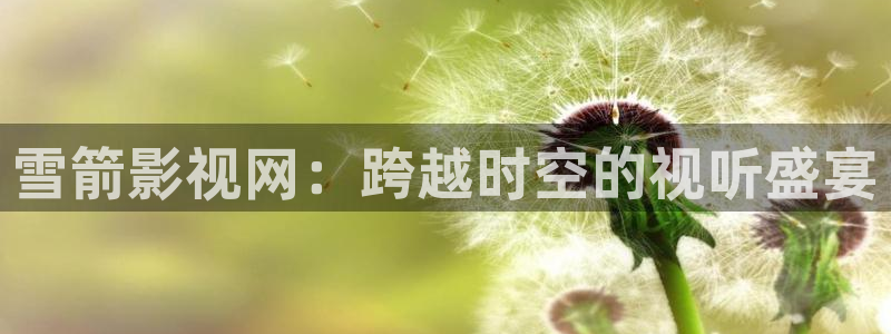秋霞伦理福利影院：雪箭影视网：跨越时空的视听盛宴