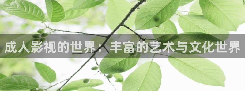 秋霞午夜电影网在线观看视频：成人影视的世界：丰富的艺术与文化世界