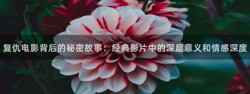 秋霞影院免费：复仇电影背后的秘密故事：经典影片中的深层意义和情感深度