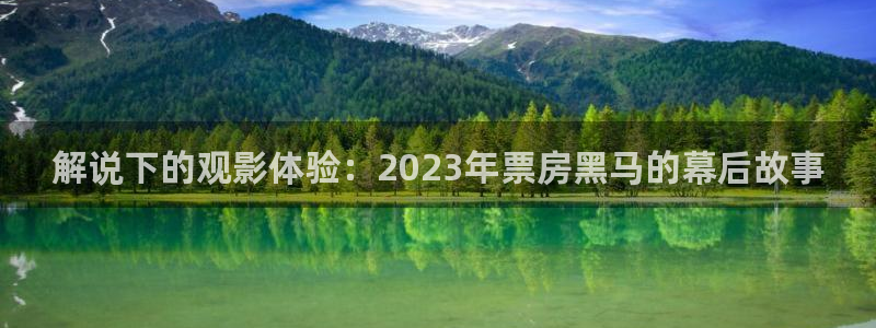 秋霞鲁斯网：解说下的观影体验：2023年票房黑马的幕后故事