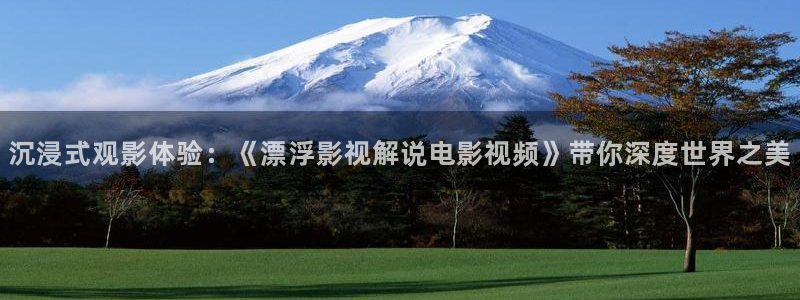 秋霞电影入口：沉浸式观影体验：《漂浮影视解说电影视频》带你深度世界之美