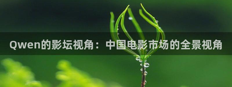 秋霞电影网去哪里了：Qwen的影坛视角：中国电影市场的全景视角