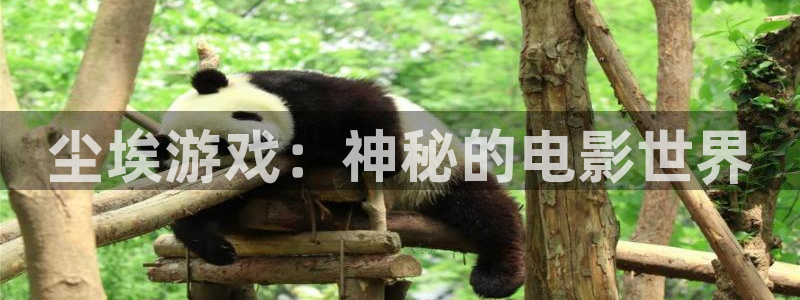 秋霞在线成人免费观看网站：尘埃游戏：神秘的电影世界