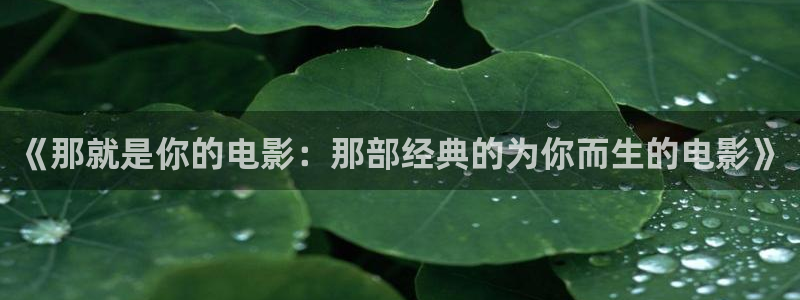秋霞电影网手机版p