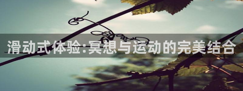 秋霞电影网一区二区