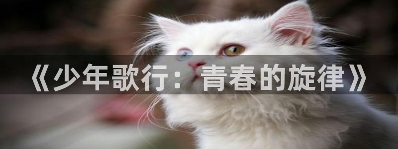 秋霞免费理乱