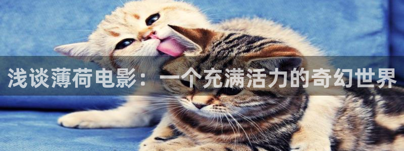 秋霞电影网717