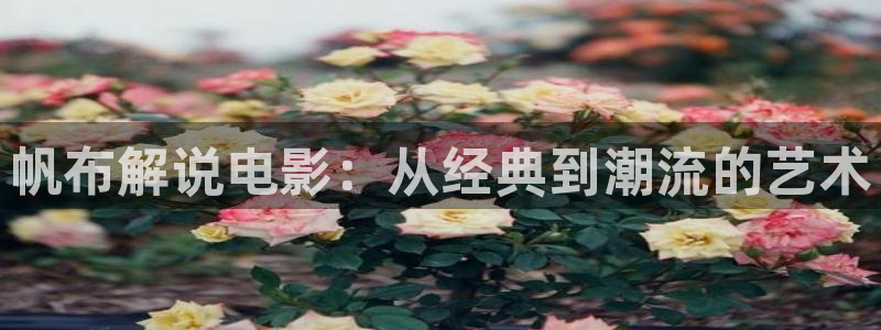 秋霞理伦电影