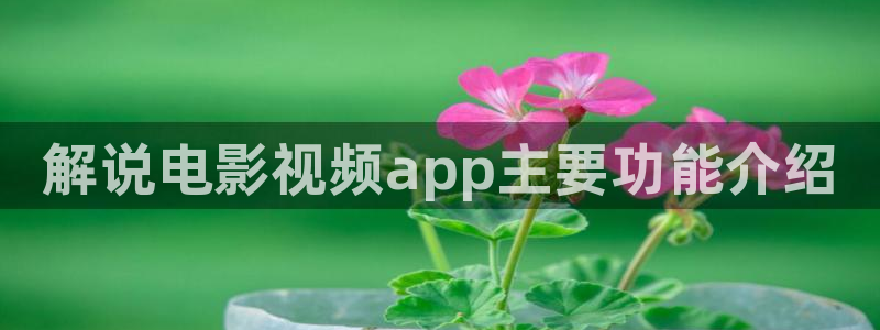 秋霞伦理影院