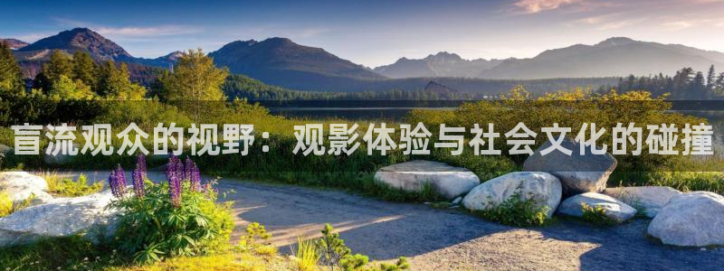 秋霞电影网在线视频观看
