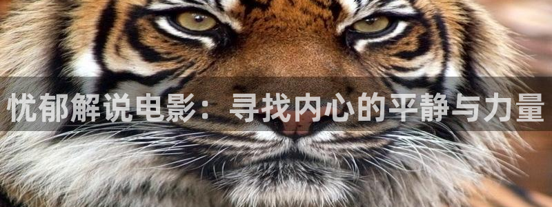 秋霞,伦理片：忧郁解说电影：寻找内心的平静与力量