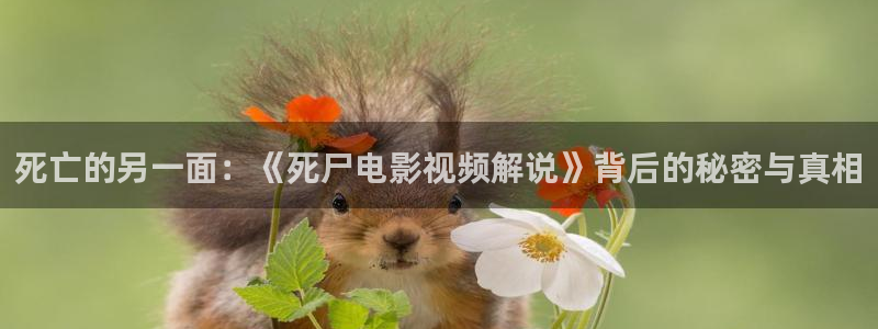 秋霞电影网视频在线观看：死亡的另一面：《死尸电影视频解说》背后的秘密与真相