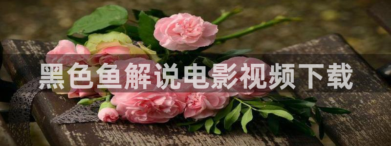 秋霞手机理伦电影网：黑色鱼解说电影视频下载