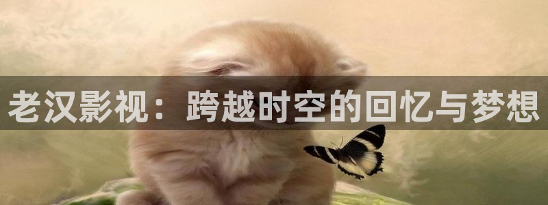 秋霞电影网手机版在线观看：老汉影视：跨越时空的回忆与梦想