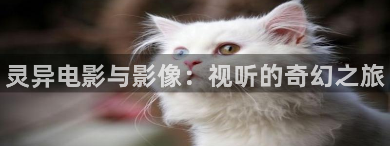 秋霞仑里片：灵异电影与影像：视听的奇幻之旅
