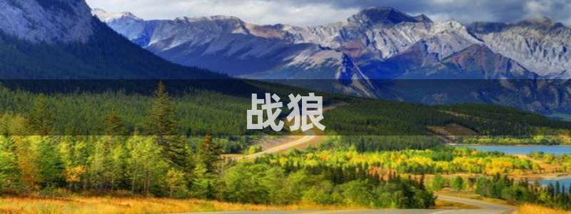 秋霞韩国最新电影：战狼