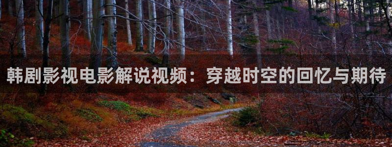 秋霞影院午夜伦理片：韩剧影视电影解说视频：穿越时空的回忆与期待