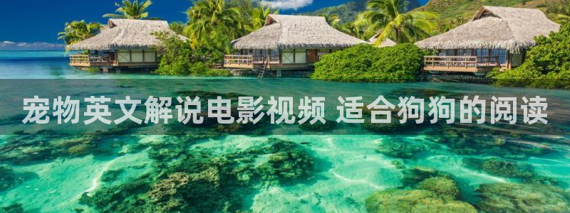 秋霞电影网 在线观看