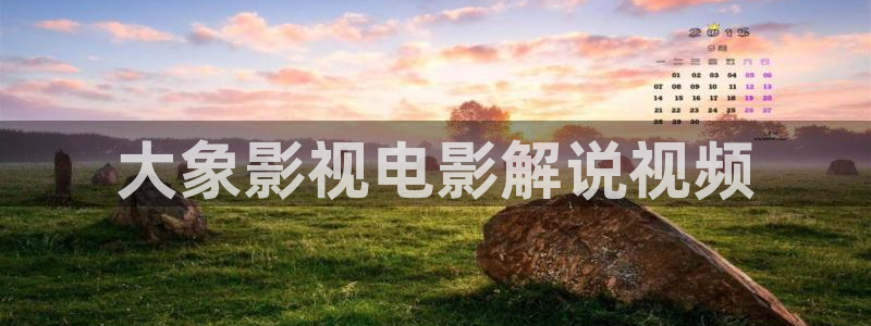 236宅宅秋霞网：大象影视电影解说视频