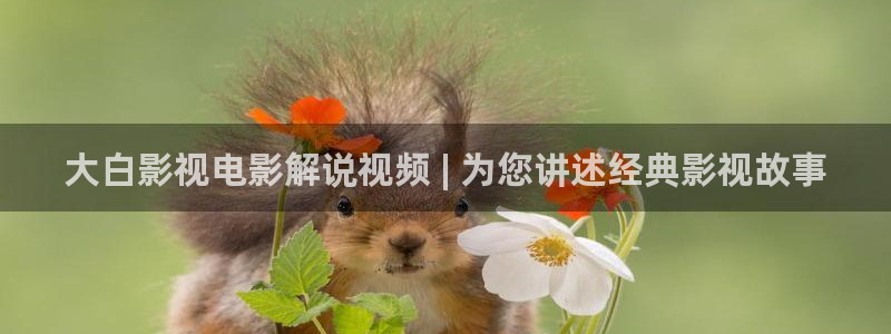 秋霞电影网在线80影视：大白影视电影解说视频 | 为您讲述经典影视故事