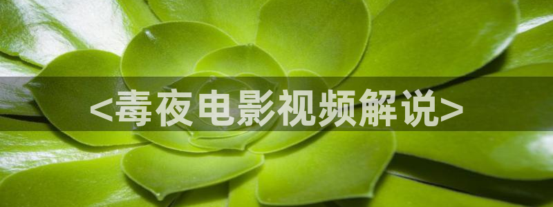 秋霞网久久：<毒夜电影视频解说>
