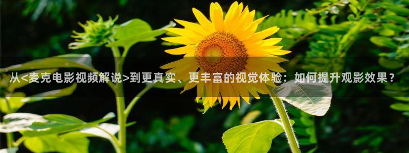 秋霞电影网了：从<麦克电影视频解说>到更真实、更丰富的视觉体验：如何提升观影效果？