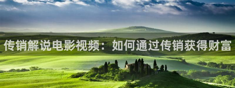 秋霞韩国片：传销解说电影视频：如何通过传销获得财富