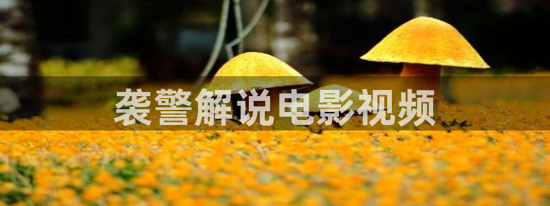 717秋霞神马电影：袭警解说电影视频