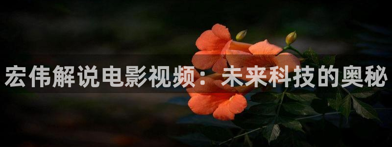 秋霞小视频：宏伟解说电影视频：未来科技的奥秘