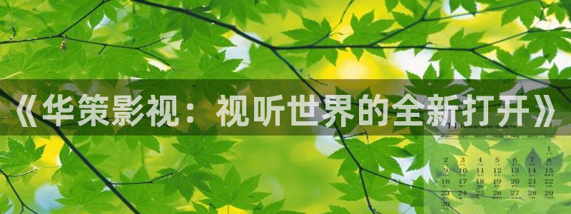 秋霞在线观看电影：《华策影视：视听世界的全新打开》
