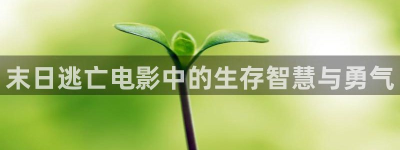 秋霞神马福利影院：末日逃亡电影中的生存智慧与勇气