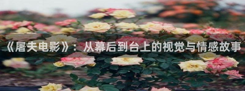 秋霞影院精品久久：《屠夫电影》：从幕后到台上的视觉与情感故事