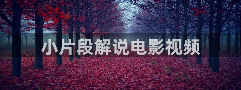 秋霞毛片电影：小片段解说电影视频