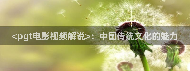 久久秋霞影院：<pgt电影视频解说>：中国传统文化的魅力