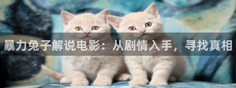 秋霞手机电影网在线：暴力兔子解说电影：从剧情入手，寻找真相