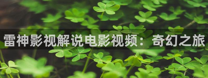 秋霞电影网网址换了吗：雷神影视解说电影视频：奇幻之旅
